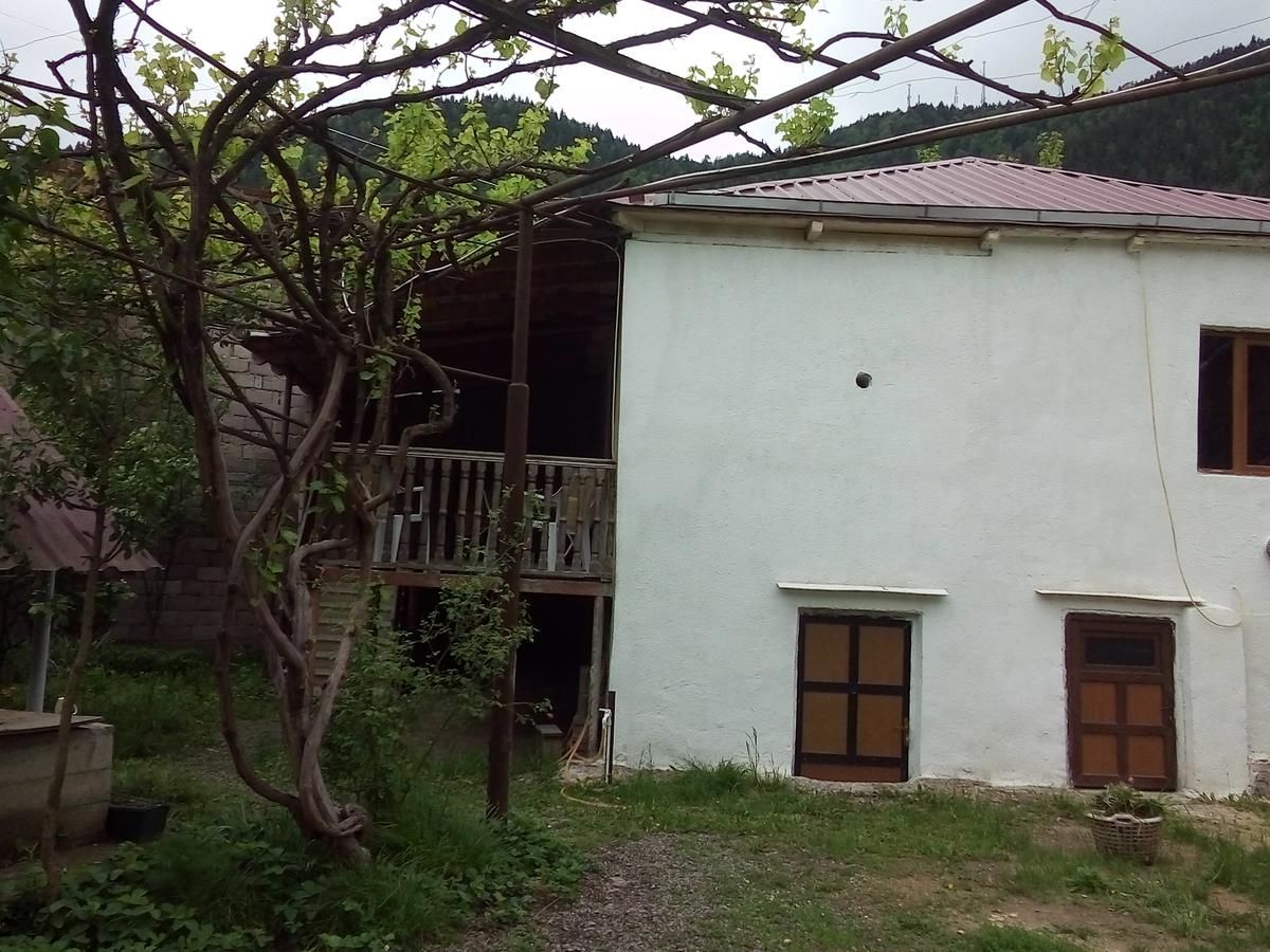 Гостевой дом Guesthouse Megi on Robaqidze 6 Боржоми