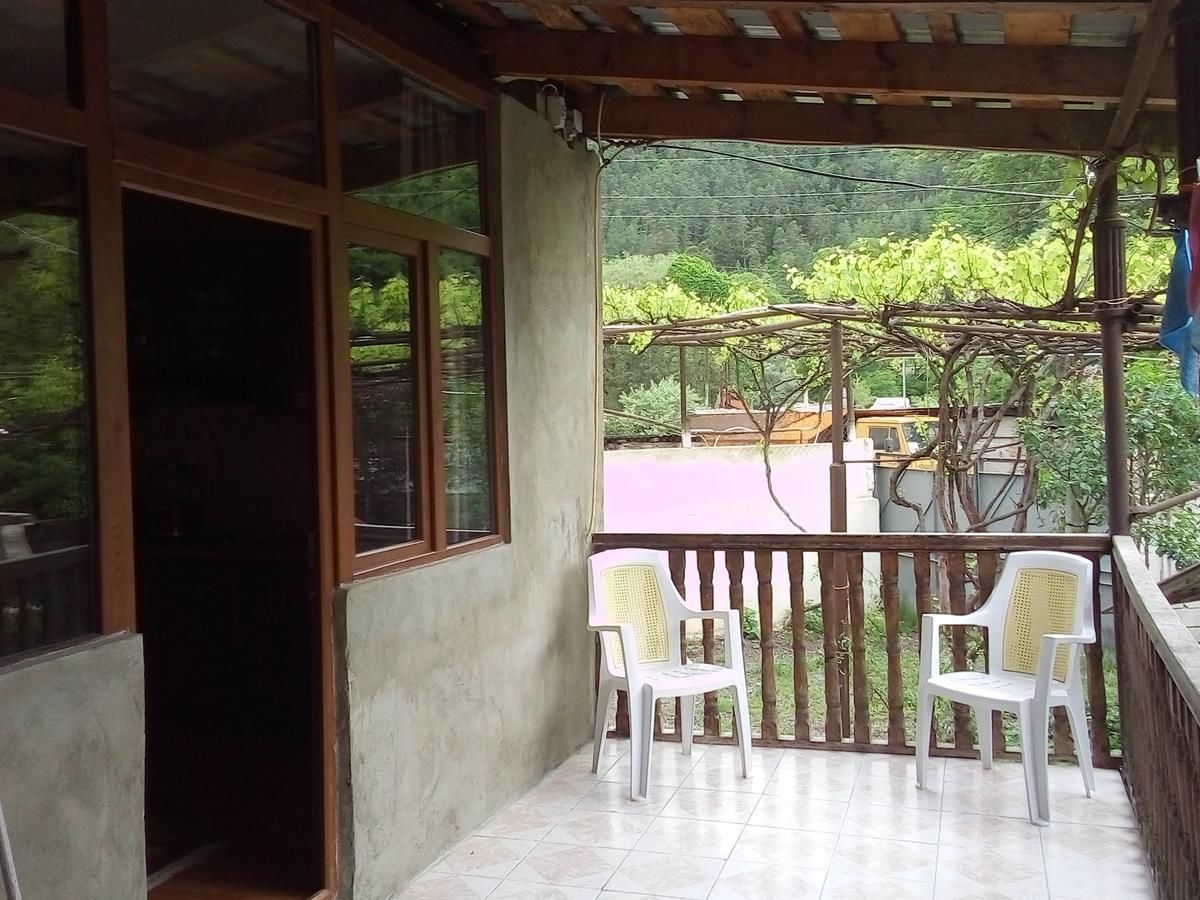 Гостевой дом Guesthouse Megi on Robaqidze 6 Боржоми-20