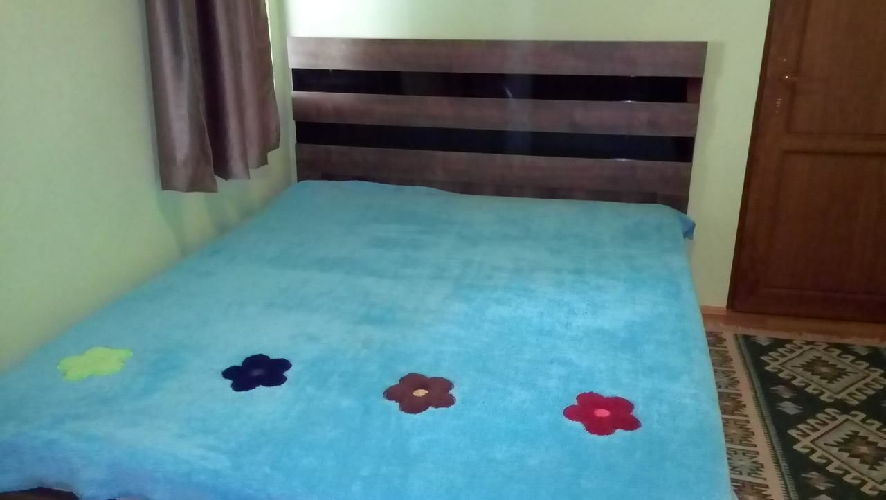 Гостевой дом Guesthouse Megi on Robaqidze 6 Боржоми