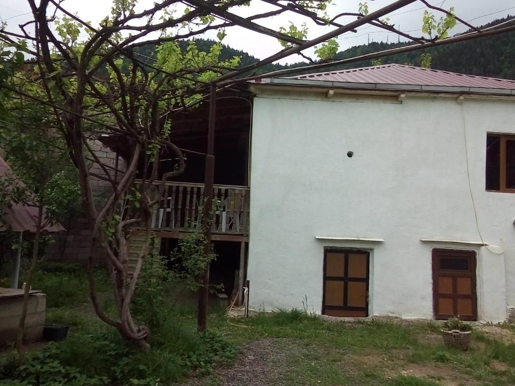 Гостевой дом Guesthouse Megi on Robaqidze 6 Боржоми-29