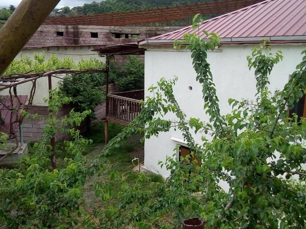 Гостевой дом Guesthouse Megi on Robaqidze 6 Боржоми-30