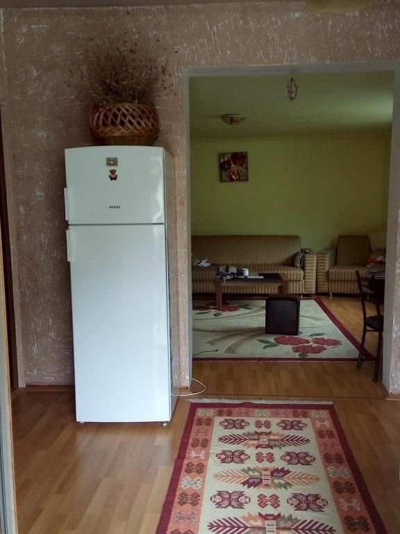 Гостевой дом Guesthouse Megi on Robaqidze 6 Боржоми-32