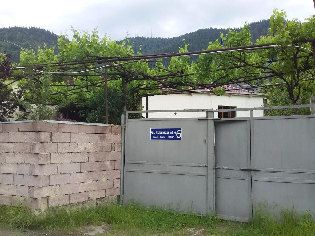 Гостевой дом Guesthouse Megi on Robaqidze 6 Боржоми-34