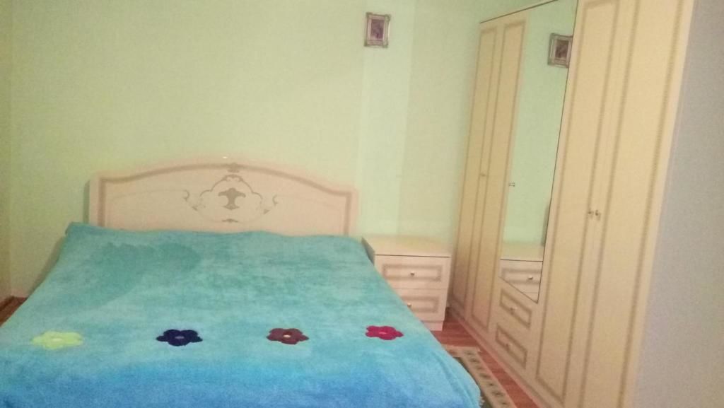Гостевой дом Guesthouse Megi on Robaqidze 6 Боржоми-35
