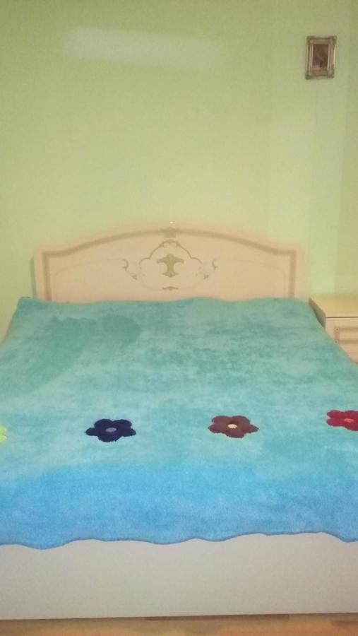 Гостевой дом Guesthouse Megi on Robaqidze 6 Боржоми-9